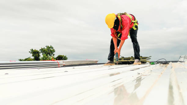 Best Solar Panel Roofing Installation  in Allentown, NJ
